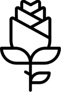 studioveredbitan
